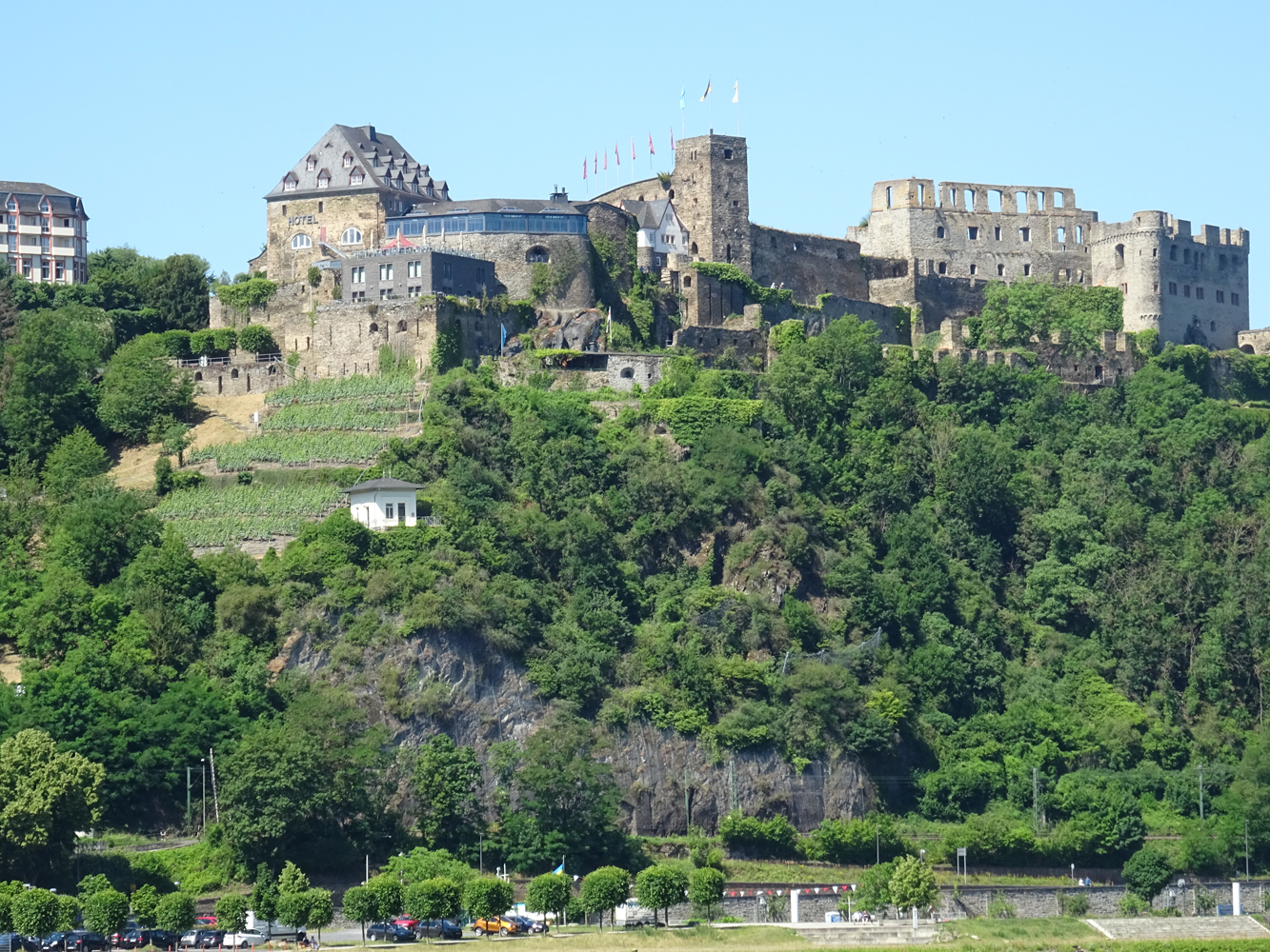 Ausblick auf Boppart